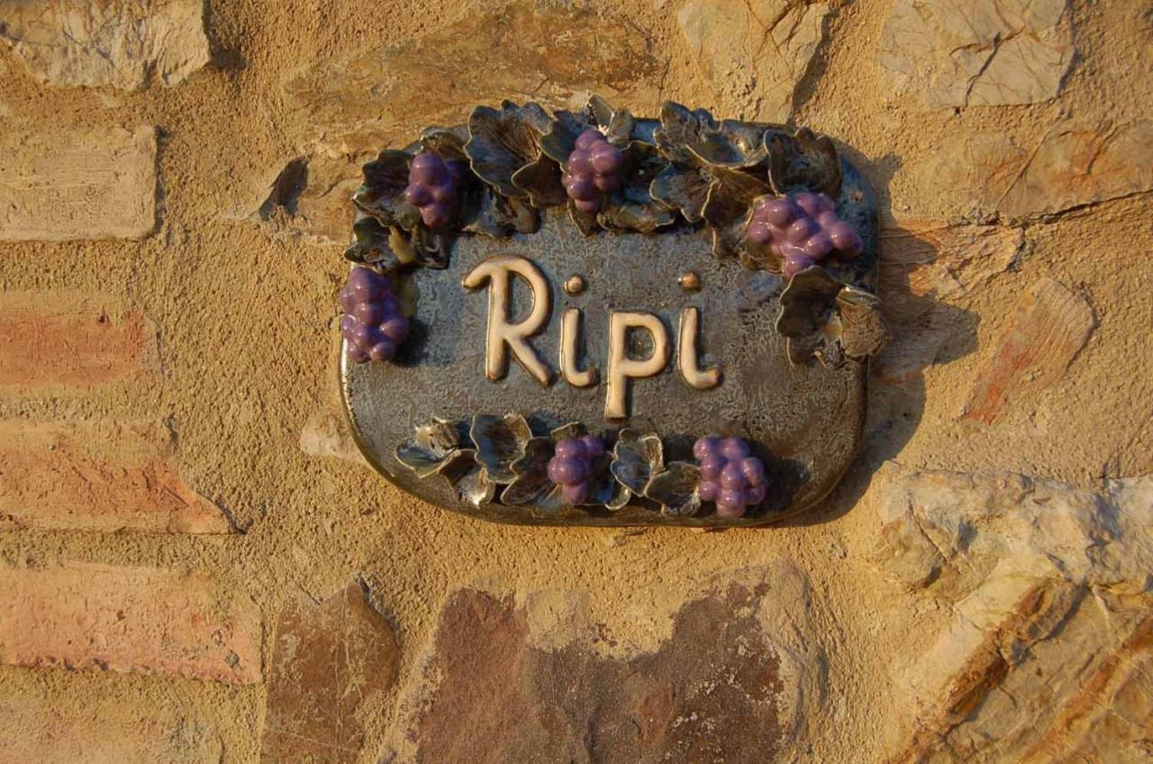 Podere Ripi Вольтерра Экстерьер фото
