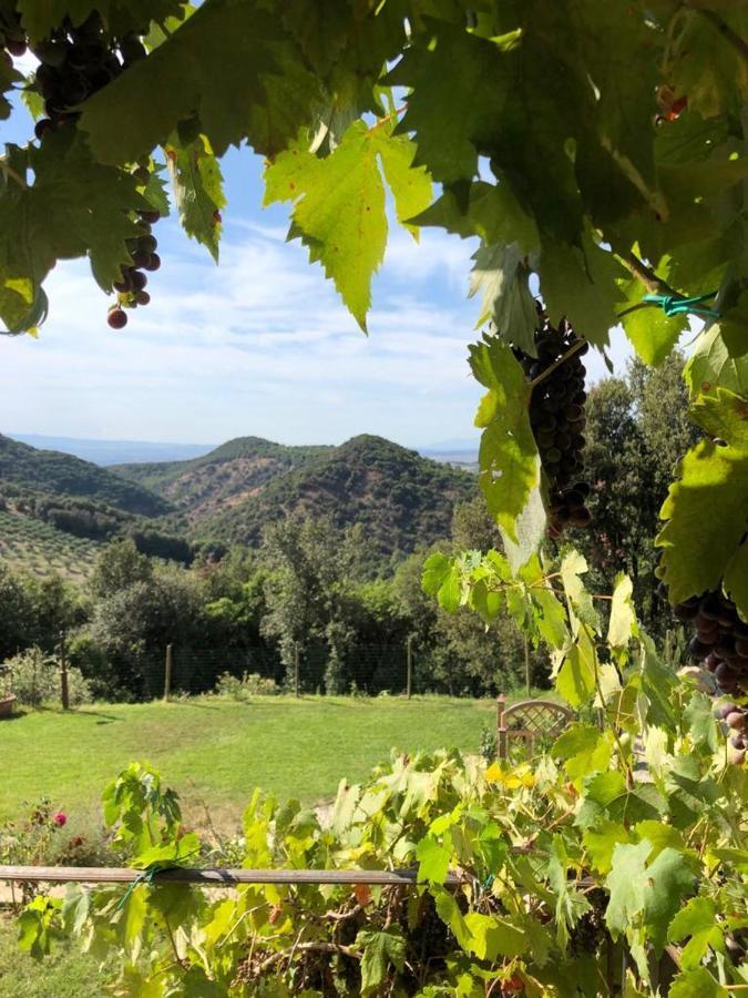 Podere Ripi Вольтерра Экстерьер фото